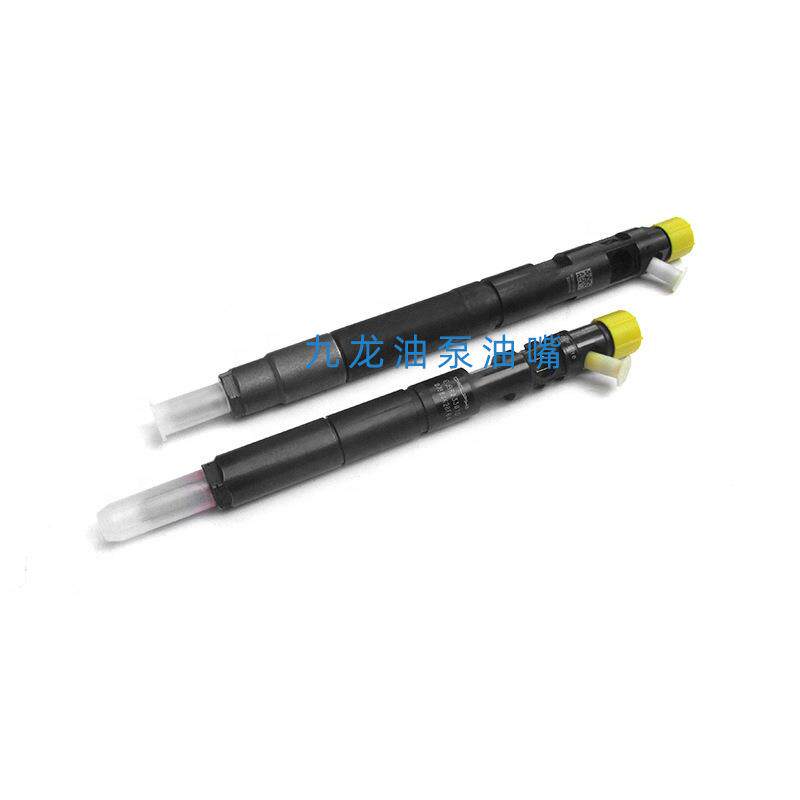 EJBR02901D适用德尔福喷油器共轨喷油嘴总成2901D