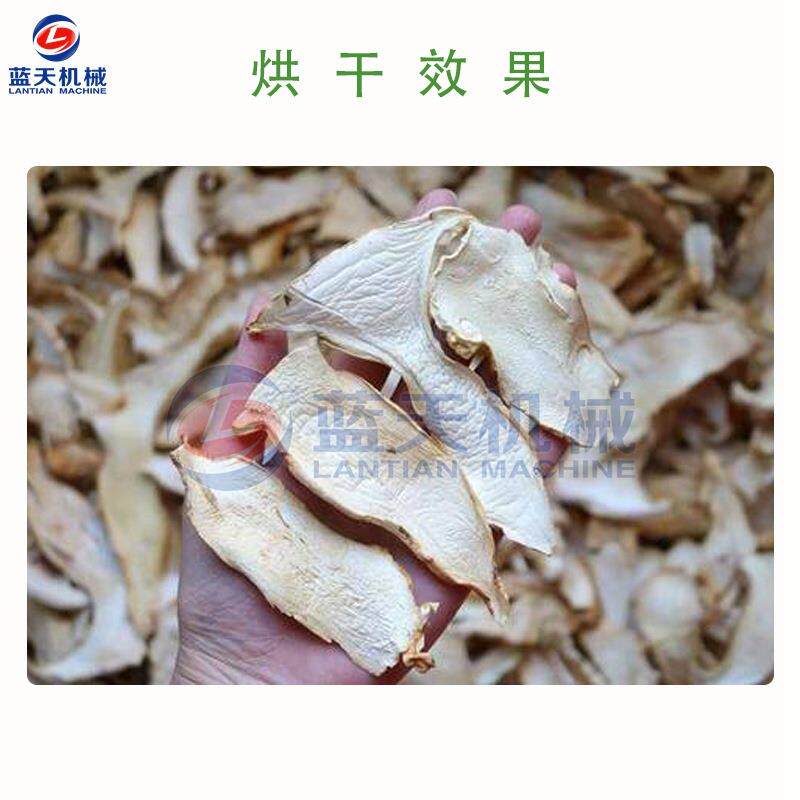 蓝天松茸菌烘干机 全智能松茸干片烘干箱 松口蘑赤松茸烘干一体机