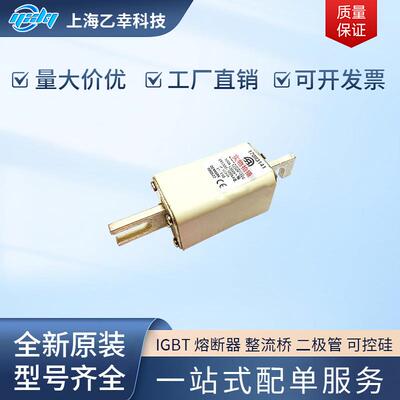 巴斯曼熔断器 170M3273 170M3286 170M3289 170M3292 170M3293