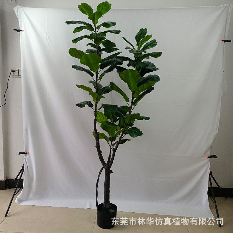 仿真琴叶榕 仿真植物盆景室内装饰摆件 家具软装仿真琴叶榕盆栽