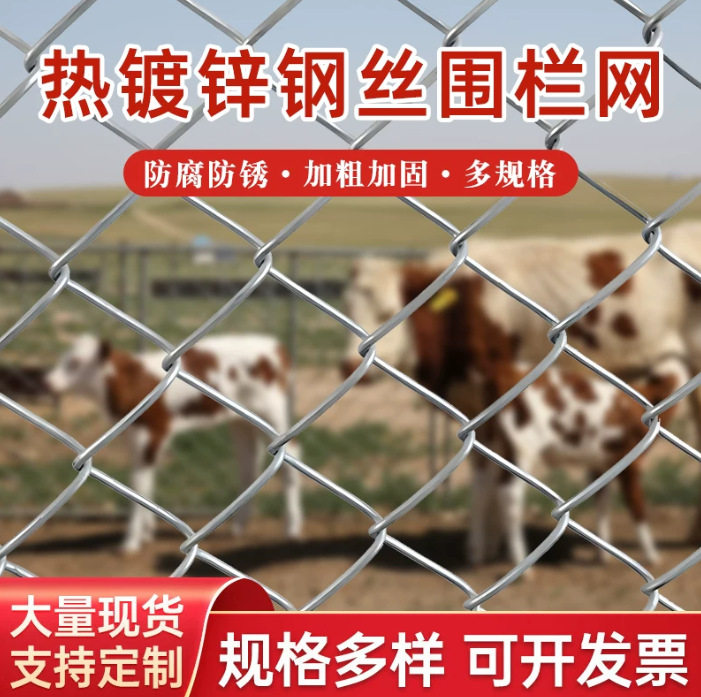 镀锌养殖铁丝网围栏钢丝网养鸡护栏网铁网格网防护网农村户外围栏