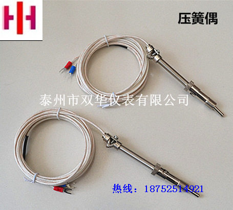 PT100压簧式热电阻WZPT-01