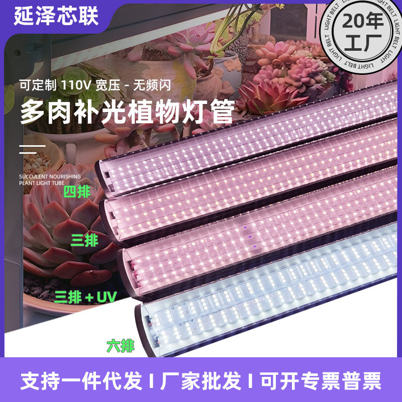 全光谱植物补光灯条多肉上色LEDT2O大功率防徒长多肉植物生长灯管