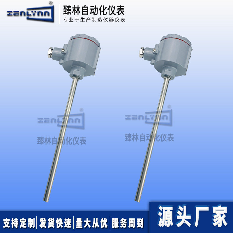 现货WZP2-141隔爆无固定装置PT100铂热电阻BT4/双支防爆热电阻