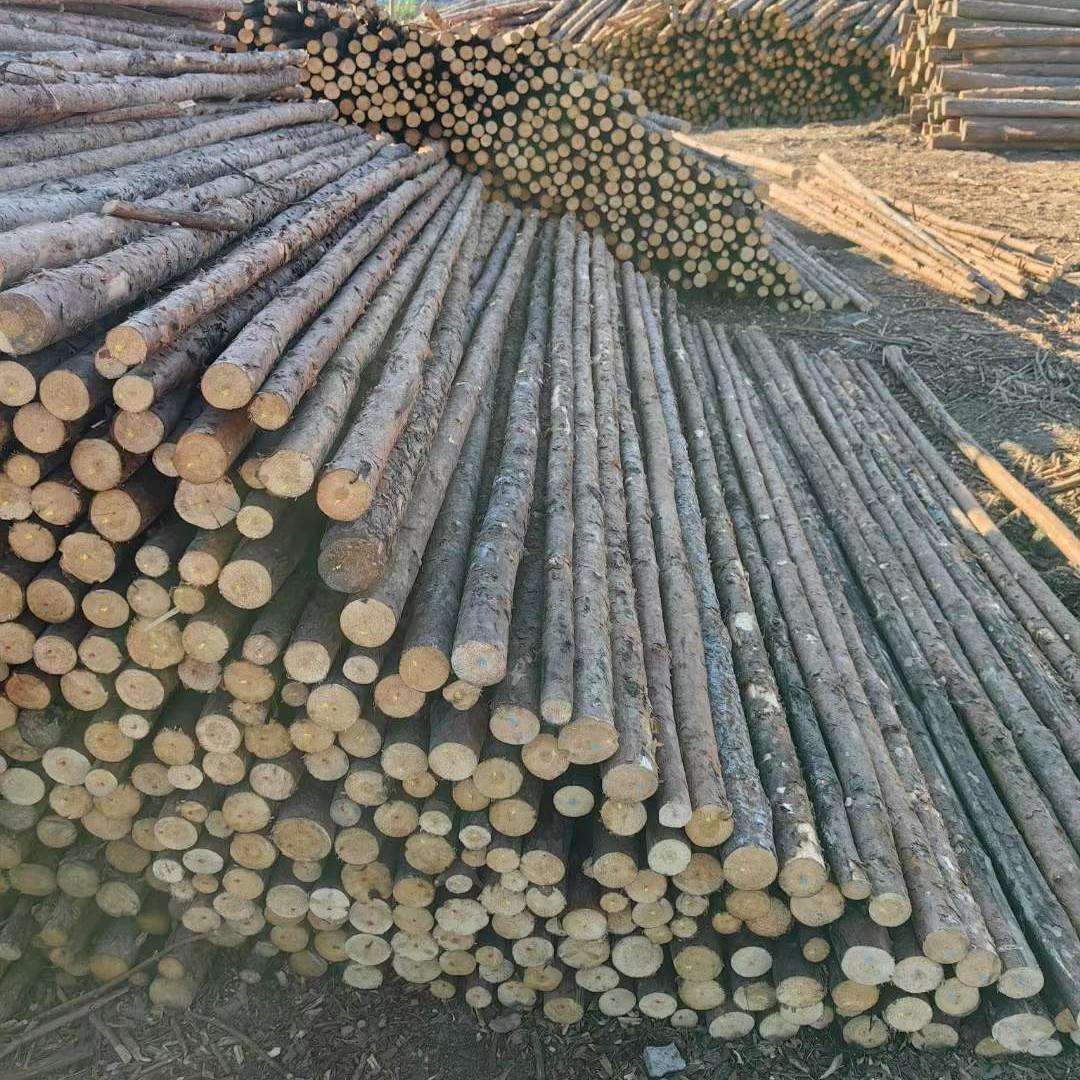现货落叶松打桩木地基桩河堤加固木桩防腐处理打桩木原木桩