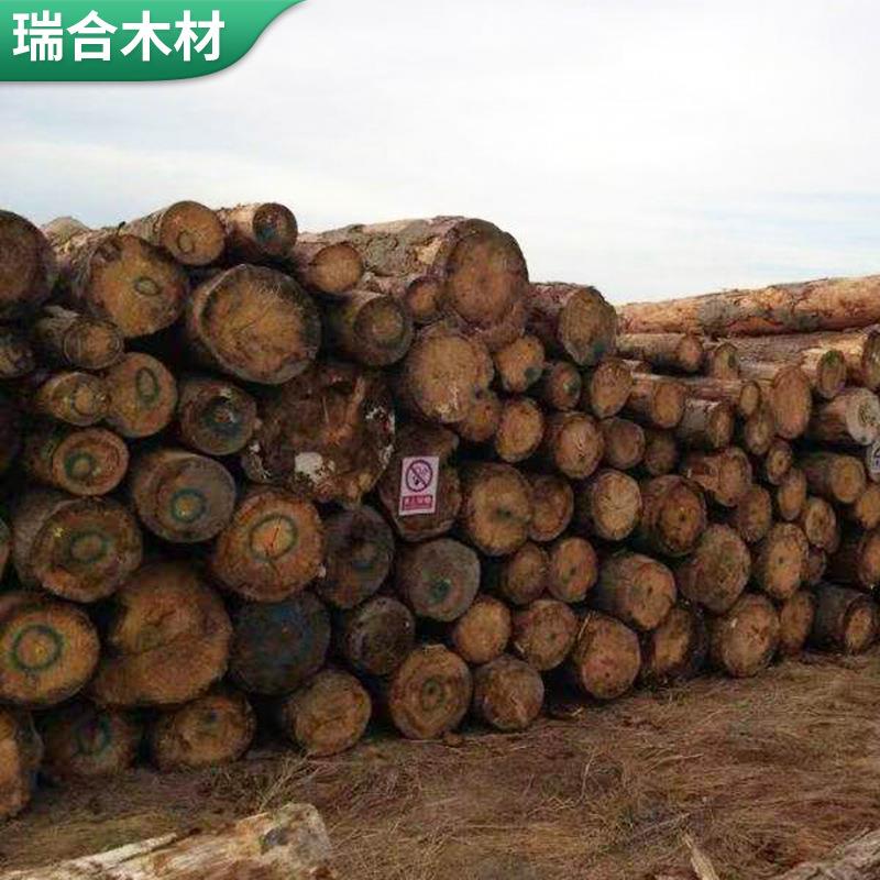 胶州建筑工程工地方木4*9 工程支模用白松木方进口木方原木