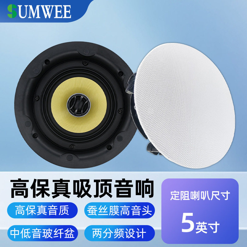 两分频定阻同轴吸顶音响天花吊顶喇叭嵌入式客厅环绕背景音乐音箱