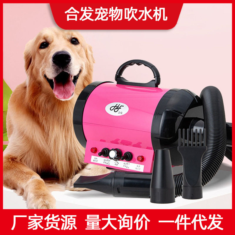 合发宠物吹水机大功率静音速干