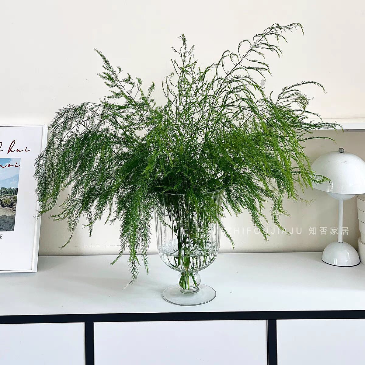 花瓶玻璃透明创意高脚花器 餐桌插花大口水培鲜花居家广口瓶批发