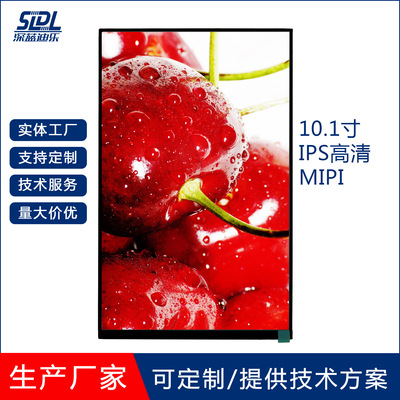 10.1寸IPS/TN屏800*1280客制
