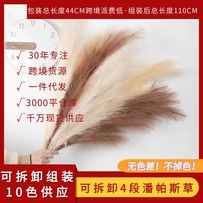 一折仿真花可拆卸四段110cm潘帕斯草组装芦苇草假花MW61215