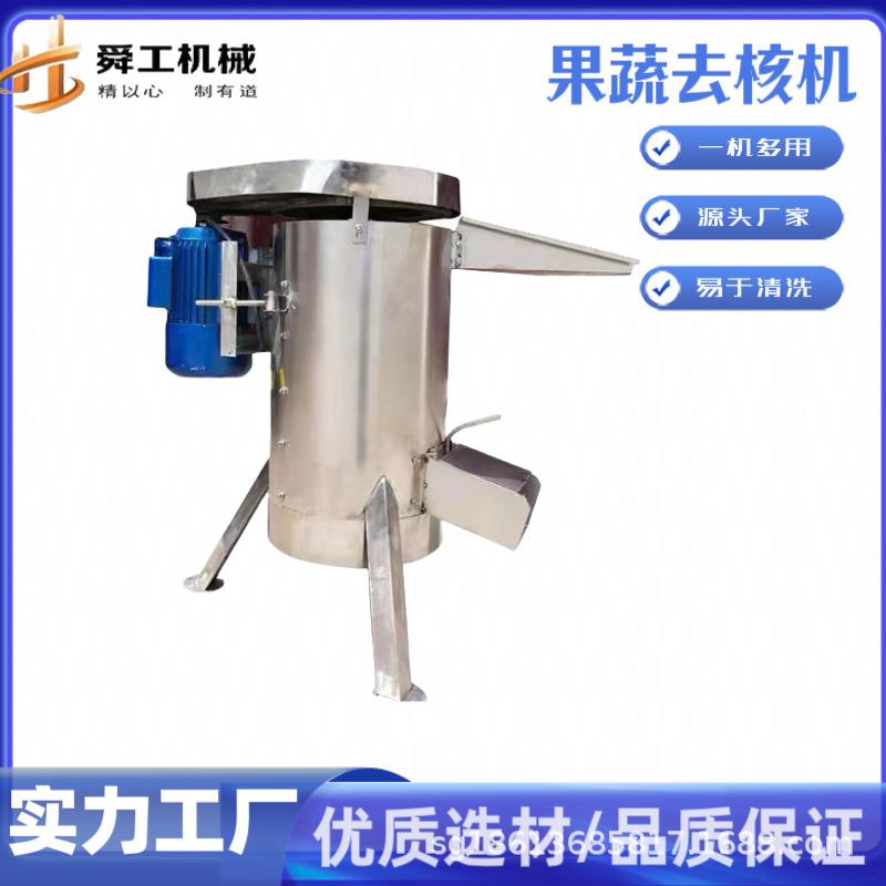 全自动果肉挖核机 桂圆荔枝龙眼打浆脱核机 吨级水果粉碎去核机