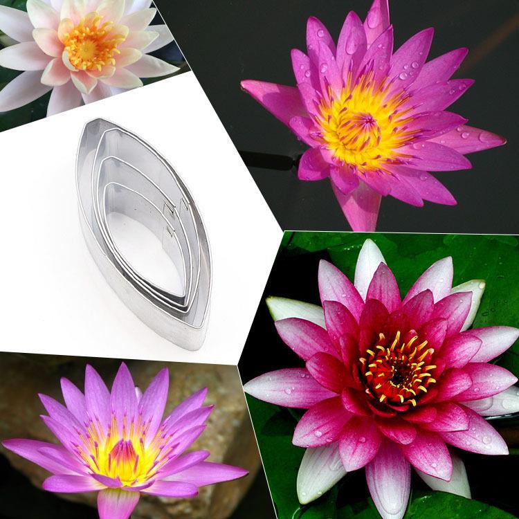 不锈钢英式翻糖糖花切模睡莲花瓣模具diy蛋糕烘焙用品造型工具