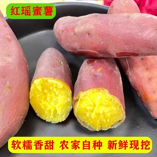 正宗红薯新鲜沙地红瑶蜜薯烤地瓜农家自种现挖软糯香甜红黄心糖心