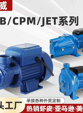 QB旋涡泵QB60/70/80清水漩涡泵AC220V/110V/127V太阳能板DC12V24V