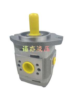 福伊特齿轮泵 IPH4-20 101 IPH4-25 101 IPH-32 101 IPV4-20 171
