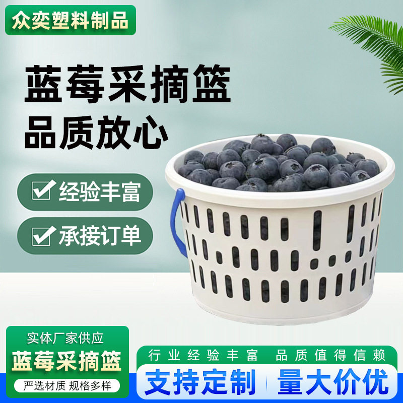 蓝莓桑葚塑料水果篮一斤水果店手提圆形塑料采摘篮子厂家