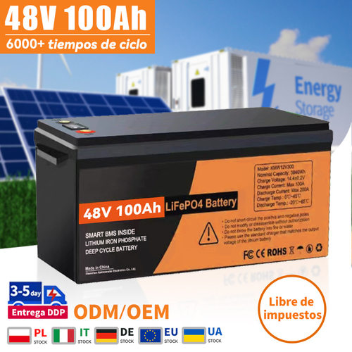 48V100AhLiFePO4电池带BMS