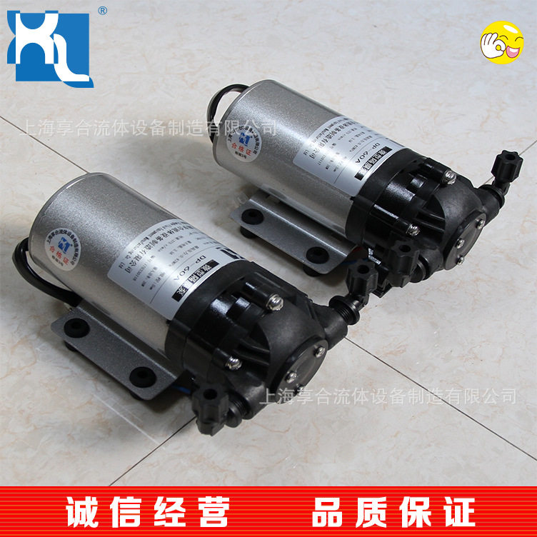 DP微型隔膜泵 纯水过滤机 DP-60A 山东水泵