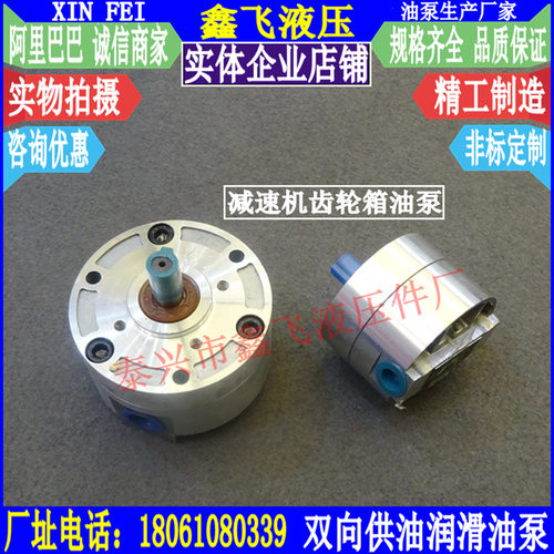 LB-BB16/BB20/BB25/BBS-16/20/25摆线齿轮泵齿轮箱油泵减速机泵JZ
