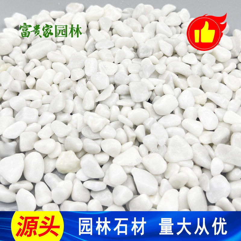 白石子园艺造景铺面用白石3-5mm 白色园林石子 广州纯白碎石