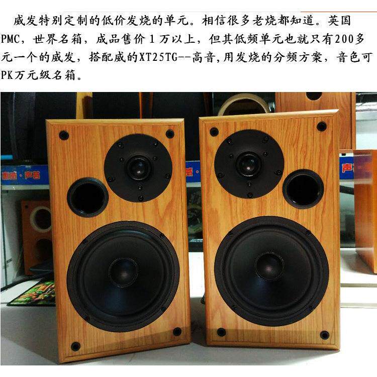 HS丹麦王子6.5寸两分频HIFI专业家用书架音箱 前置音箱