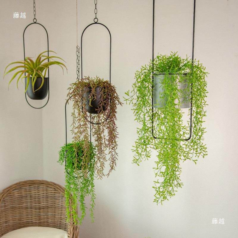 窗台铁艺吊篮花盆挂架花器空中垂吊挂式阳台悬挂花架绿萝植物架