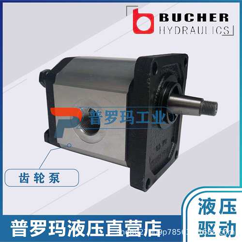 德国布赫BUCHER液压齿轮油泵AP100/4.3 D 318 AP100/6.5 D 318