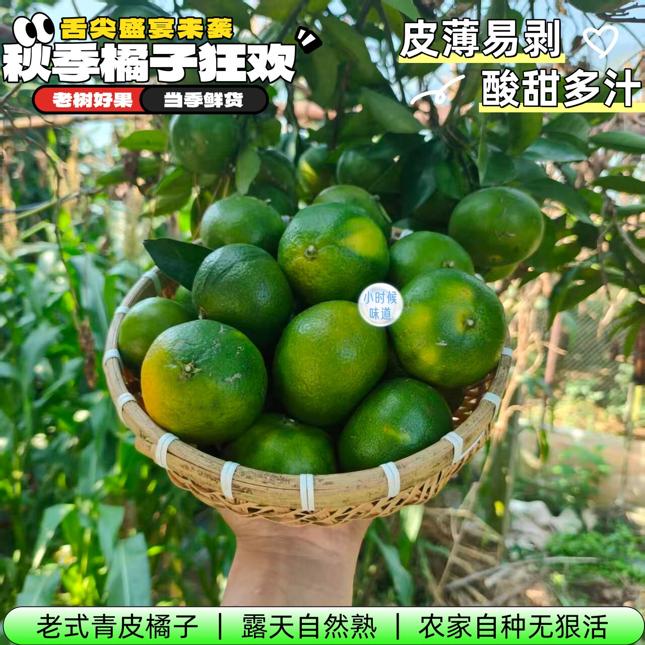 老式青皮橘子正宗农家自种酸甜桔子露天自然熟健康无狠活孕妇水果