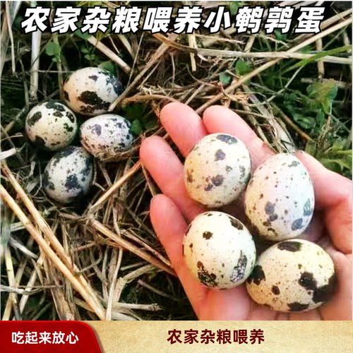 农家小鹌鹑蛋20枚自养杂粮喂养鸟蛋无黑科技孕妇宝宝辅食健康营养