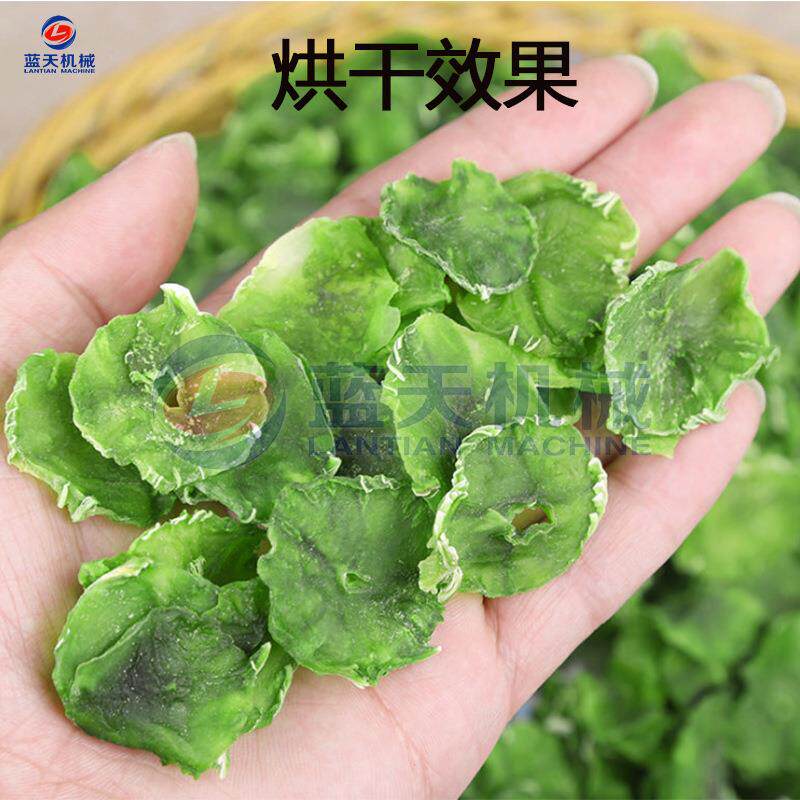 蓝天莴笋片烘干机 空气能莴苣片烘干房 青笋丝莴笋干脱水烘烤设备