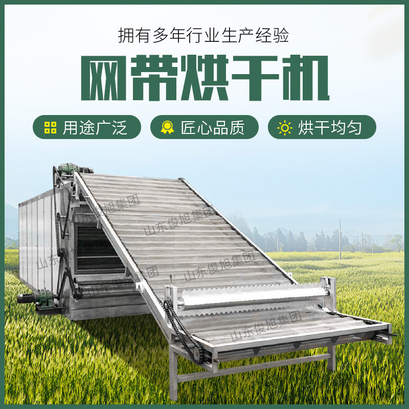 网带果蔬烘干机 橘子皮陈皮网带式烘干机青椒红椒桑葚烘干房
