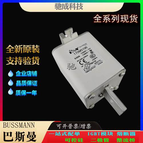巴斯曼170M5177 170M5188 170M5189 厂家供货销售价优 特种保险丝