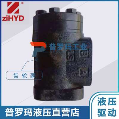 ZIHYD宁波中意液压马达 BHR1-100-Y50-P/C