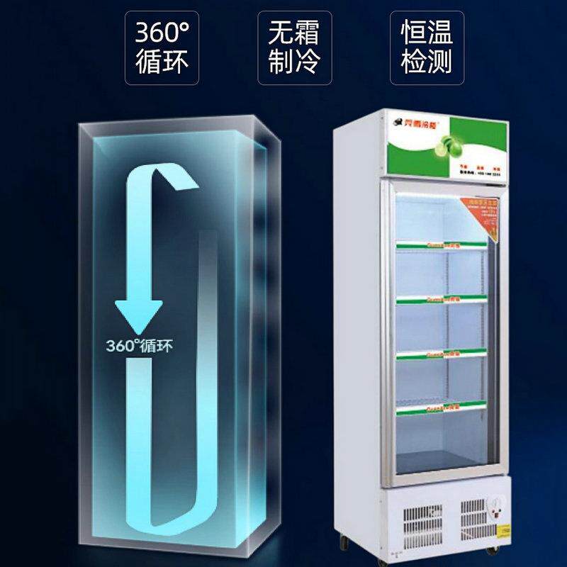冷藏展示柜啤酒饮料保温水柜立式保鲜便利店超市商用风冷冰箱