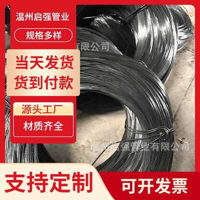退火黑铁丝现货热镀锌铁丝优质Q195低碳钢镀锌丝铁丝冷拔丝