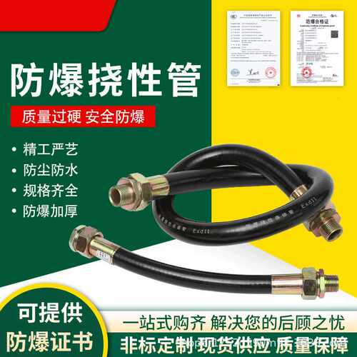 防爆4分防爆穿线DN15防爆软管DN20防爆挠性连接管DN25不锈钢