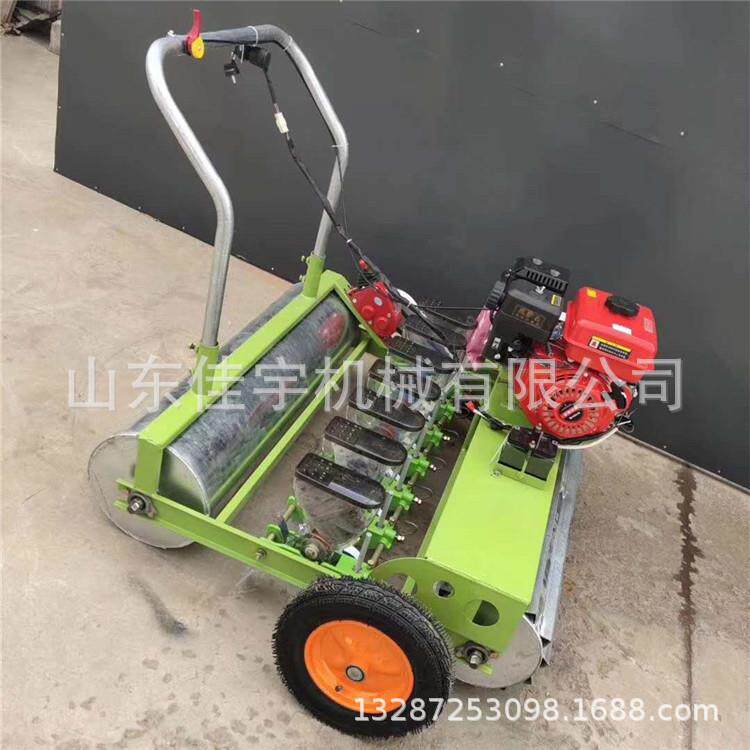 一穴两粒手推播种机多行芹菜精播机 无动力单行点播机