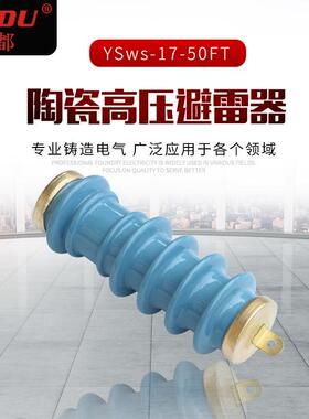 陶瓷高压避雷器YSws-17-50FT 蓝色10KV陶瓷避雷器 YSws系列