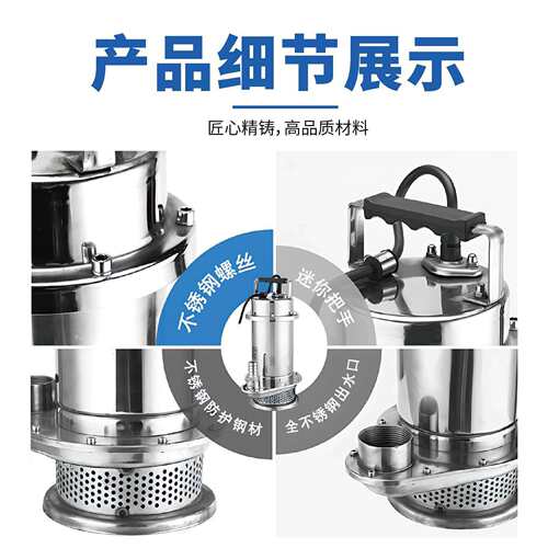 飞力泵业不锈钢潜水泵220v农用灌溉浇菜手提抽水泵小型家用潜水泵