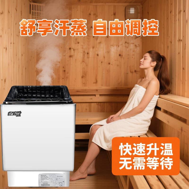 桑拿干蒸机304不锈钢桑拿炉家用商用汗蒸房专用设备桑拿炉跨境