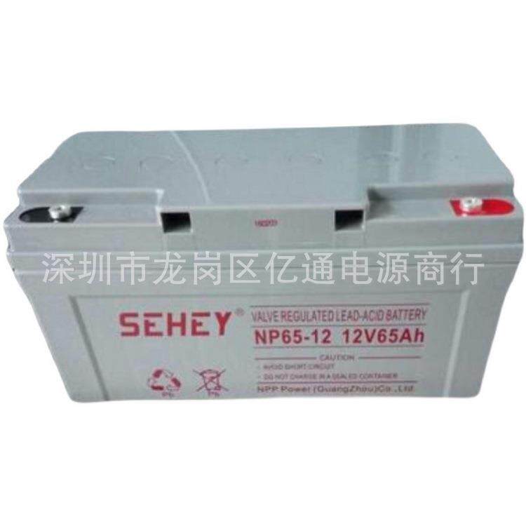 SEHEY西力胶体蓄电池NPG24-12光伏发电12V24Ah 直流屏EPS