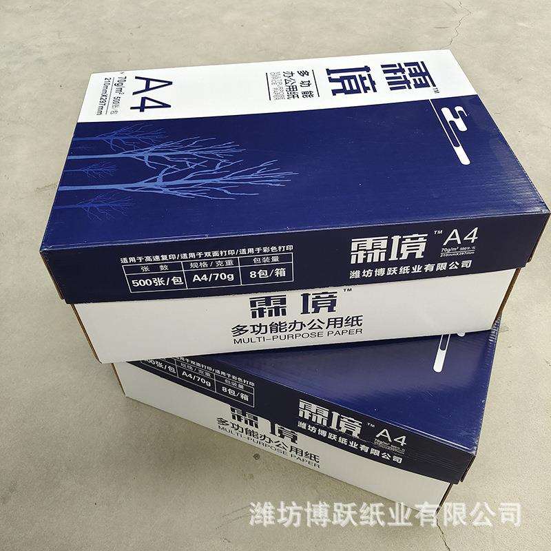 霖境a4纸打印纸 500张办公用纸复印纸整箱 70g双面复印纸