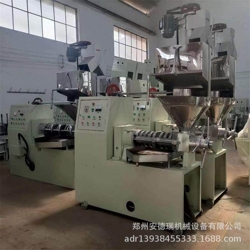 榨油机商用出油率高100型菜籽棕榈果榨油机设备带壳山核桃榨油机