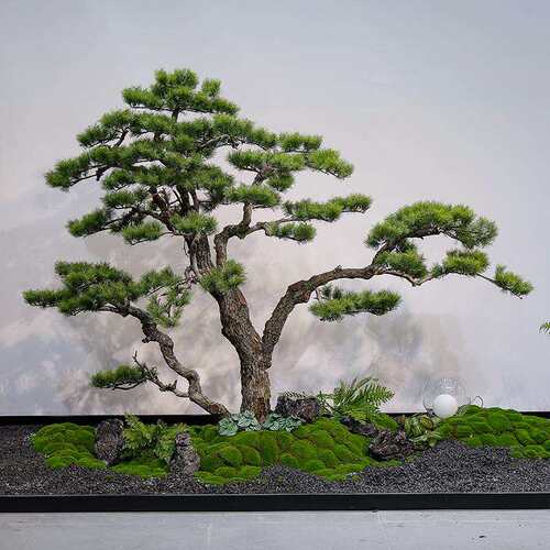 精品仿真迎客松假树罗汉松新中式室内造景绿植景观橱窗楼梯下装饰