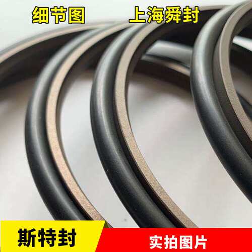 FLUORTEN斯特封  轴用NCR STD OD BSJ RS PTFE密封圈