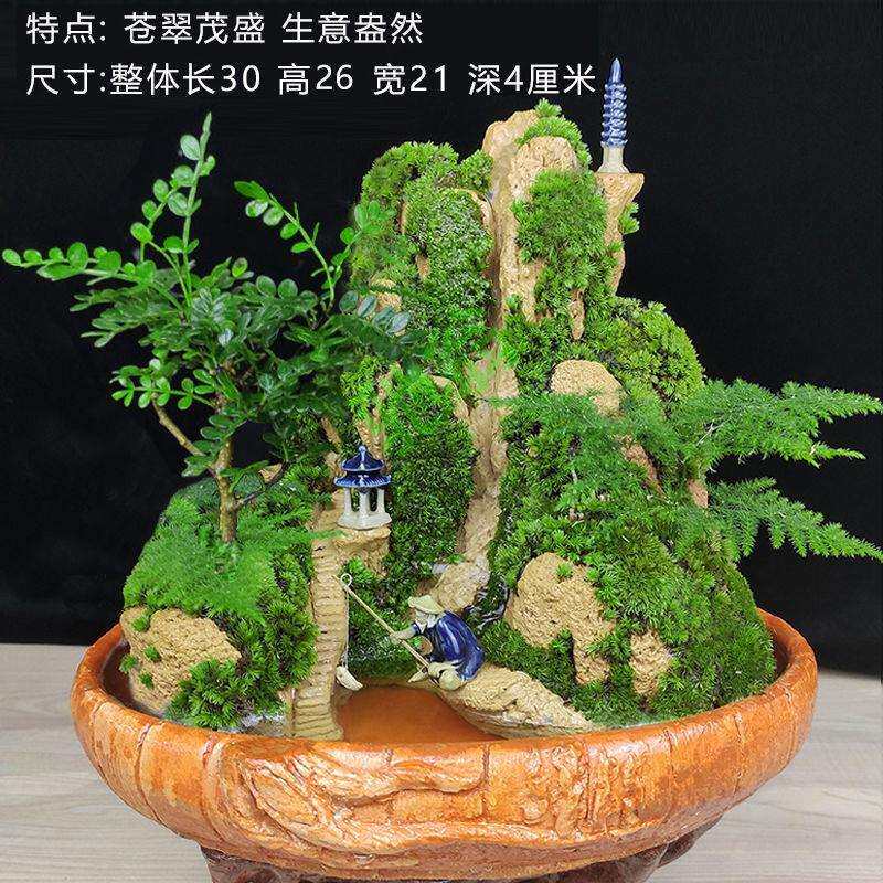 yut静林流水假山盆景吸水奇石小上水造景石头摆件原天然植物山水