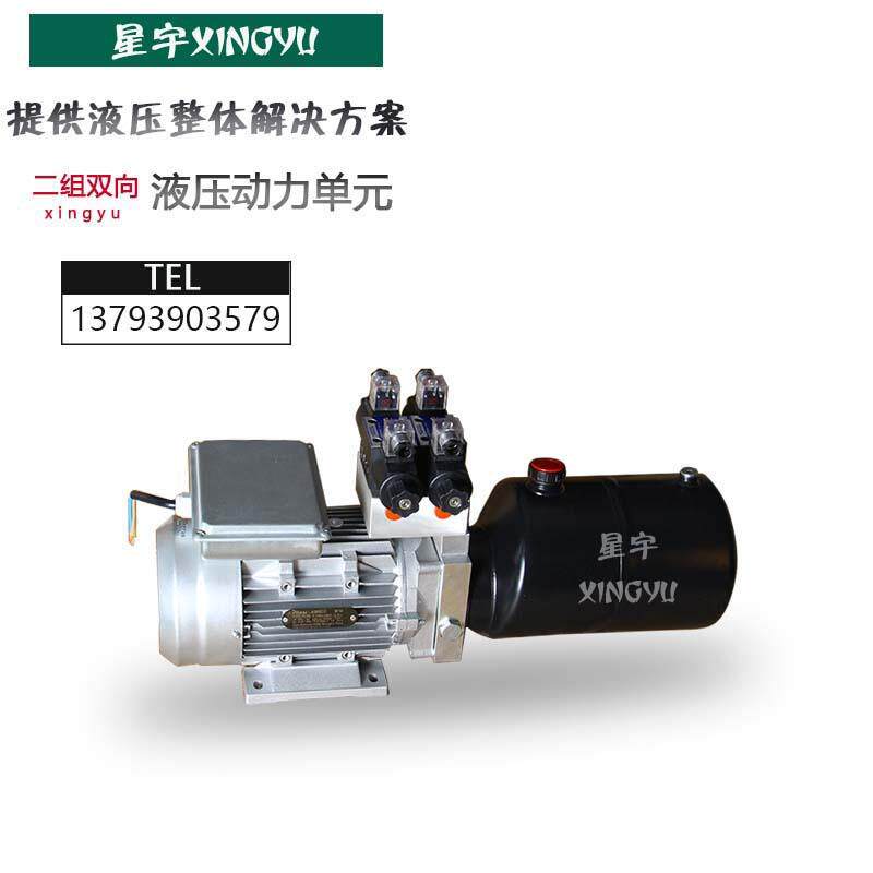 星宇液压动力单元总成220V380V微型双向液压泵站电动升降平台油缸