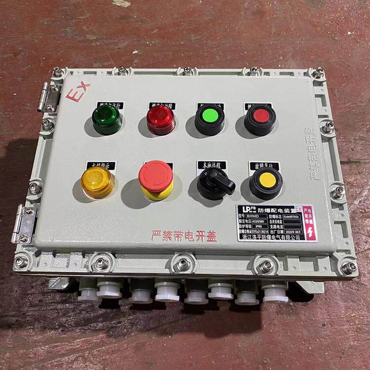 BXMD-53防爆照明动力配电箱 DZ47-25A/2P开关防爆柜