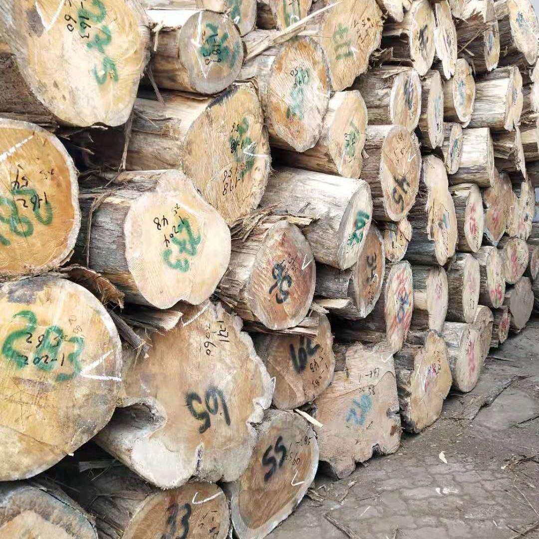 香柏木 香柏木原木 桧木 香桧木原木 柏木 香柏木 寿材雕刻